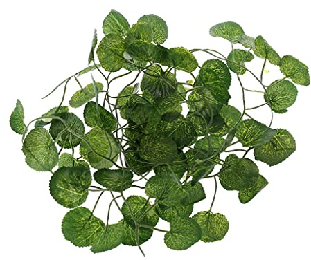 climber flexible leaf jungle habitat decor snake footed mustard lizard accessories driftwood supplies heating pad tank plant fake leopard earth water dish potato leather carpet crested hammock cork