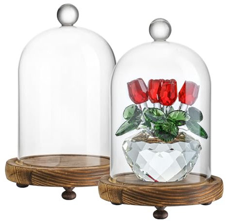 ZEERSHEE 2pcs Glass Cloche Display Dome 6.4x3.7 inch Decorative Glass Display Bell Jar Centerpiece Display Case for Wedding Decor