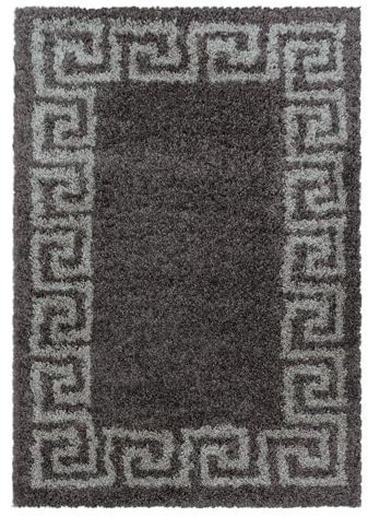 Hochflor Teppich Halo rechteckig, Farbe: Taupe, Größe:120x170 cm