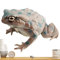 Fukamou Kröte Spielzeugtier,Kröte Kinderspielzeug - Froschfiguren Lustige Spielzeugfrösche Für Kinder,Niedliche- Miniatur-Sammelfiguren, Tiermodell, Spielzeug Für Die Schule Zu Hause