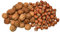 IGART Haselnüsse 2kg + Walnüsse 2kg in der Schale | MIX | Hazelnuts | Walnuts | Schmackhafte reif Walnüsse | Unbehandelt | Eco-Qualität | Ernte 2024