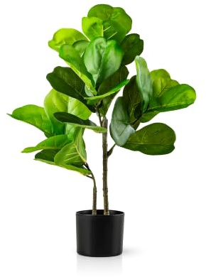 PASCH® Konstgjord violin (75 cm) – konstgjorda växter stora | konstgjorda växter som äkta | konstgjort fikonträd | stora konstgjorda växter i kruka | Falsk växt | konstgjord palm | konstgjorda växter