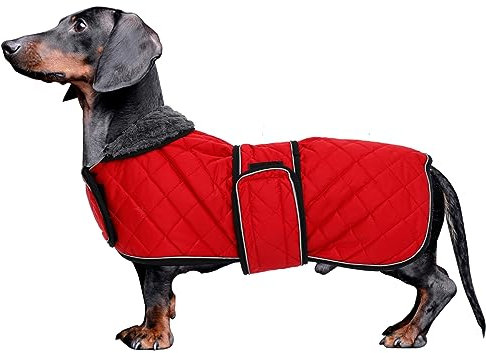 MOREZI Dackel Hund Winterjacke. wasserdichte Hundejacke. Mit Wolle, inneren und verstellbaren Schultergurten. Hundekleidung im Freien-Rot-S