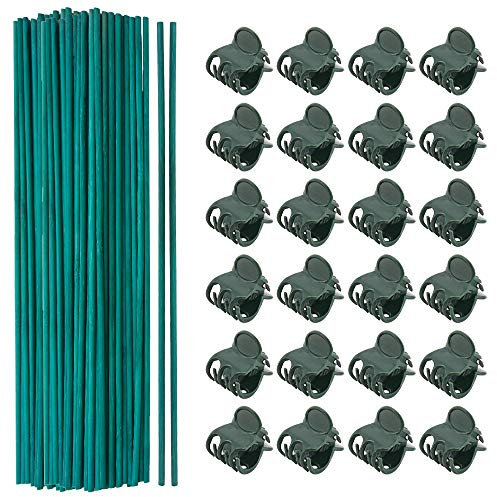 100PCS Plant Support Sticks 12 Inch Bamboo Sticks Green Flower Sticks Wood Plant Stake Garden Plant Support Stakes with 100PCS Garden Clips for Flowers Garden