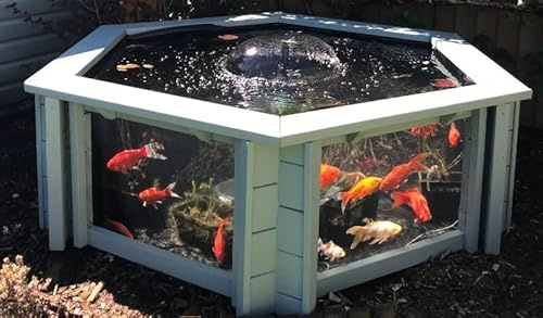 Lily Clear View Garden Aquarium Bassin hexagonal surélevé Vert