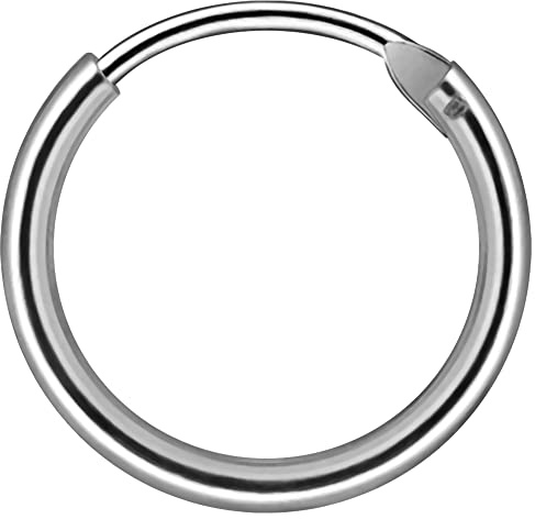 AZARIO LONDON 925 Sterling Silver 22 Gauge Hinged Segment Nose Ring Jewellery