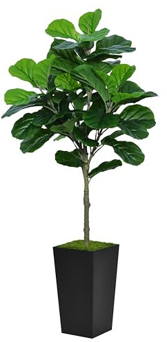 ASTIDY Fiddle Leaf Feigenbaum, künstlich, 152 cm, Kunstpflanze mit schwarzem, hohem Pflanzgefäß, künstliche Ficus-Lyrata-Bodenpflanze im Topf für Zuhause, Büro, Wohnzimmer, Dekoration, Innenbereich
