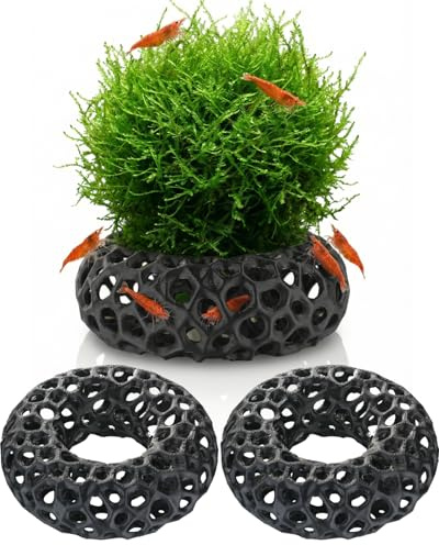 Tapufitil Grotte pour crevettes pour Plantes d'aquarium Pack de 2 Grottes Rondes pour Aquariums pour crevettes Cerises et naines Accessoire d'aquarium Compatible avec Les Plantes Décoration