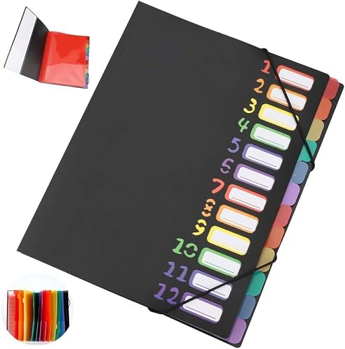 Carpeta Clasificadora A4 – Clasificador Documentos A4 – Carpeta Organizadora con 12 Compartimentos – Diseño de Acordeón, Resistente al Agua y Gran Capacidad, para Oficina, Escuela y Hogar