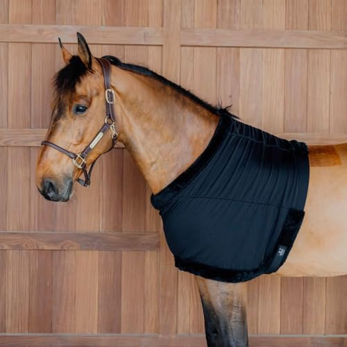 Kentucky - Brustschutz schwarz Size XL