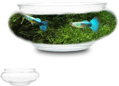 Glas-Fischglas: Hydrokultur-Blumentopf Lotus-Hydrokultur-Behälter Klarglas-Aquarium Kleines Aquarium Rundes Glasaquarium Für -Betta