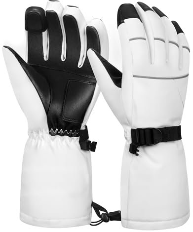BLUEVER Skihandschuhe, wasserdichte Winddichte Winterhandschuhe Touchscreen Thermo Herren Damen Erwachsene Skihandschuhe zum Radfahren Laufen Klettern Wandern Outdoor Sport