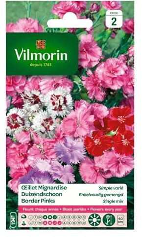 Vilmorin - Sachet de graines Oeillet Mignardise simple varié