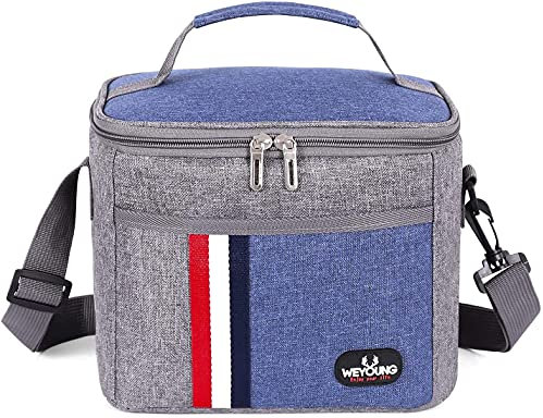 MCXKJ 8L Portatile Borsa Termica Pranzo al Sacco, Impacco di ghiaccio addensato per il pranzo in foglio di alluminio a prova di perdite, Leggera per Uomo Donna, Ideale per Picnic/scuola/ufficio (Blu)
