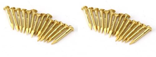 TOPINCN 200 Tachuelas de Escudo de Latón, Clavo de Cabeza Redonda, Clavo de Acabado Común, Tornillo de Clavo de Latón, Kit Surtido de Clavos en Miniatura, Bisagras para Muebles,