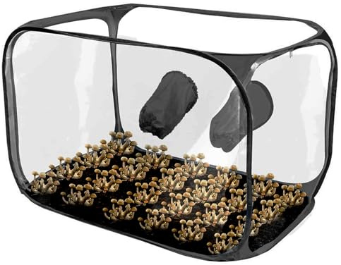 Tienda Cultivo Setas – PVC 76x43x44,5cm | Contenedor Cultivo Seta | Bolsa Cultivos Transparente | Kit Tienda Interior Jardinería DIY Cultivos Setas Hidropónico