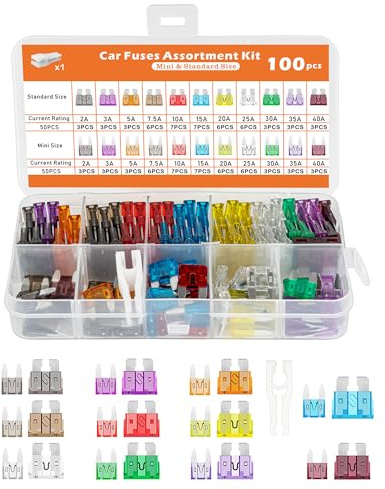 Acual Fusibles Coche 100 Pcs, Fusibles Estándar y Mini (11 Modelos 2A-40A), Alta Conductividad y Corte Preciso, con Extractor y Caja Organizada, Fusible Compatible con Coche, Moto, Caravana y Camión