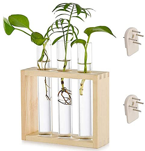 Florero de Mesa de Madera y Vidrio, Florero de Tubo De Ensayo, Soporte para Jarrón Tubos de Ensayo, Puede Colgar Madera Transparente para Decoración de La Jarrón Pared del Hogar de La Oficina