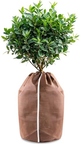 Wzzy Gurden Lot de 2 Sacs de Protection hivernale pour Plantes en Pot, antigel, Grand pour Plantes en Pot, avec Fermeture éclair, 180 x 120 cm (80 g)