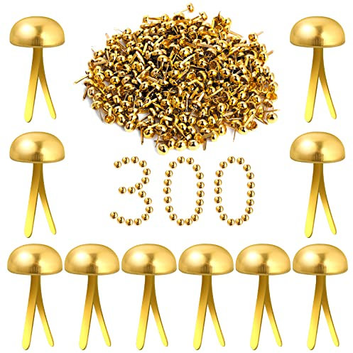 Aster 300 Stück Mini Brads Papierverschlüsse, Metall Rundkopfklammern Scrapbooking Brads, Messing Musterklammern Papierverschlüsse für Kunst Basteln Handwerk DIY-Projekte (0,3 x 0,47 Zoll), gold