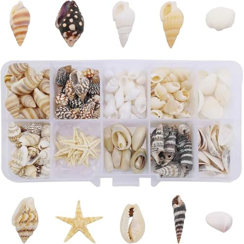 Mini Sea Shells Small Starfish Mixed, Mixed Sea Shells Starfish Beach Seashells for Ocean Theme Party Wedding Decorations DIY Crafts Candle Making Fish Tank Vase Fillers Home Decor Supplies