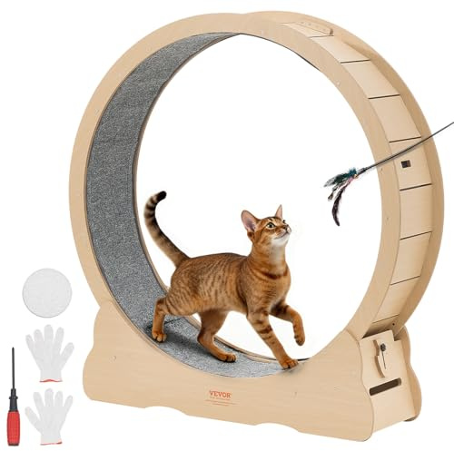 VEVOR Rueda de Ejercicio para Gatos, Diámetro Interior de 1080 mm, para Gatos de 8,6 a 12,7 kg, con Superficie de Alfombra y Mecanismo de Bloqueo, Ruedas Silenciosas de TPE, 1200 x 340 x 1275 mm