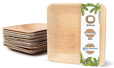 BIOZOYG 100x de platos de hoja de palma 23 x 23 cm - Platos desechables compostables y naturales - Vajilla de fiesta cuadrada