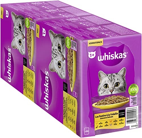 Whiskas 1+ kattmat fjäderfä urval i sås, 24 x 85 g (2 förpackningar) – högkvalitativt våtfoder för vuxna katter i 48 portionspåsar