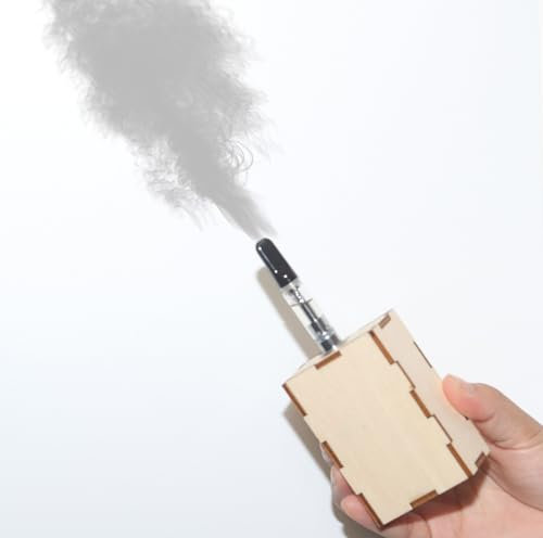 SSZZMM33 Nebbia Mini macchina per feste all'aperto a distanza portatile leggera per fumo piccola macchina per DJ palco indoor (scatola di legno), ML-FMOFOG1