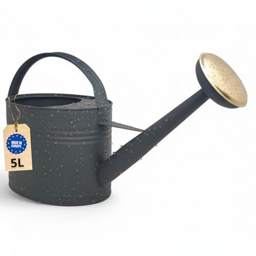 Livlig Arrosoir 5 Litres, Arrosoir pour Fleurs pour Jardin & Balcon, Arrosoir en Métal de Haute Qualité 5L en Métal Zingué et Douchette Détachable, Arrosoir Rétro avec Douchette en Laiton, Anthracite