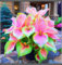 Rare Hostas Hostas Plants/Ornamental Flowers/Plant Bulbs/Hardy Perennial/Wedding Flowers-4bulbs-b