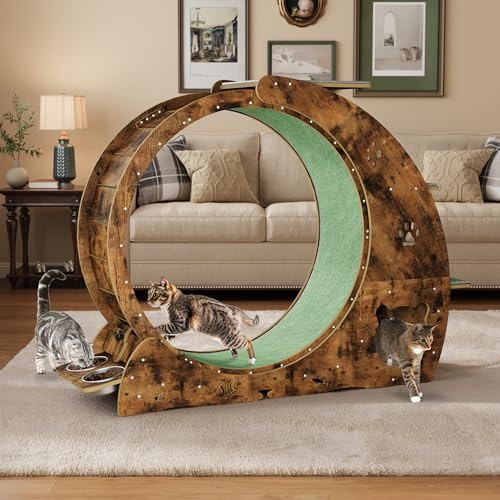 Cat Exercise Wheels with Bowls for Indoor Cats - Cat Running Wheel with Scratch Post and Detachable Carpet - Quiet Cat Treadmill for Large Cats
