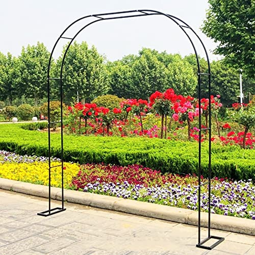 Rosspaljé i metall för klätterväxter robust rosbåge i flera storlekar (120–350 cm bred) trädgårdsdekoration i järn idealisk för utomhusbruk (storlek: B300 x H240 cm)