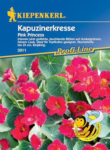 Kiepenkerl Profi-Line Kapuzinerkressesamen Pink Princess 3911 - leuchtende Blüten - Intensiv pink - Blumensamen, Blumenwiese, Wildblumensamen, Saatgut
