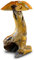 Kinaree Teak Wurzelholz Skulptur Pilz 50 -60cm – Handgefertigte Pilz-Deko aus Massivholz – Asiatische Naturdeko für Garten oder Wohnzimmer – Unikat aus Indonesien