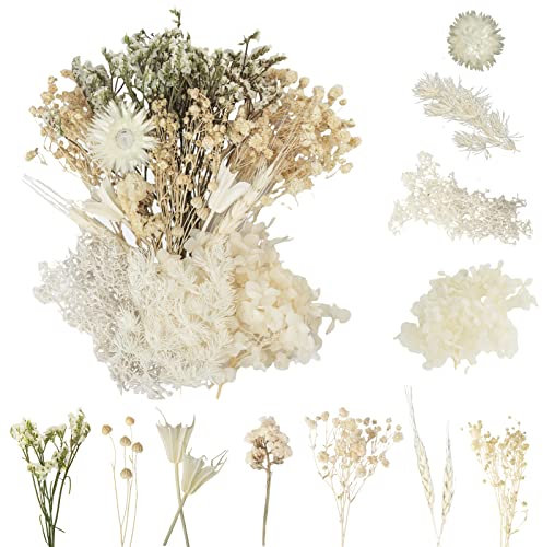 LAUMOE Fleurs Séchées, Fleurs Sechees Naturelles Fleur Séchée pour Bougies Fleurs Sechees Fleurs Séchées Vrac Fleur Sechees Decoration pour Bricolage Résine Epoxyn Art DIY Artisanale Scrapbooking