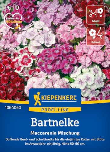 Kiepenkerl Profi-Line Bartnelkensamen Maccarenia Mischung 1064060 - Duftende Beet- und Schnittnelke - Höhe 50-60 cm - Blumensamen, Blumenwiese Samen