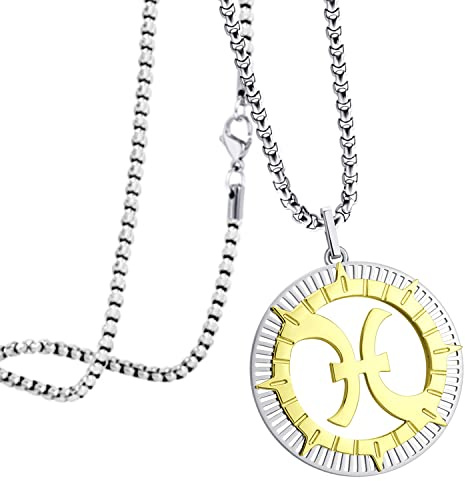 555Jewelry Stainless Steel Pisces Necklace for Wife, Horoscope Constellation Necklaces for Women ‎& Ladies, Zodiac Sign Pendant for Men, Astrology Necklace for Her, 20 Inch, Silver/Gold