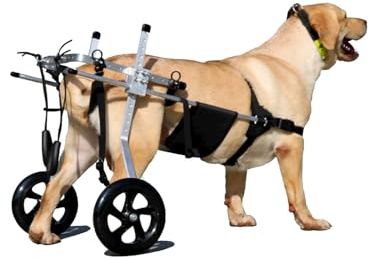 Yinian 2 Ruote Sedia a Rotelle per Cane Carrello per Disabili Scooter per Animali Domestici Carrello per Cani Disabili con Ruote per Riabilitazione di Gambe di Animali Disabili(Size:XXL（25-45kg）)