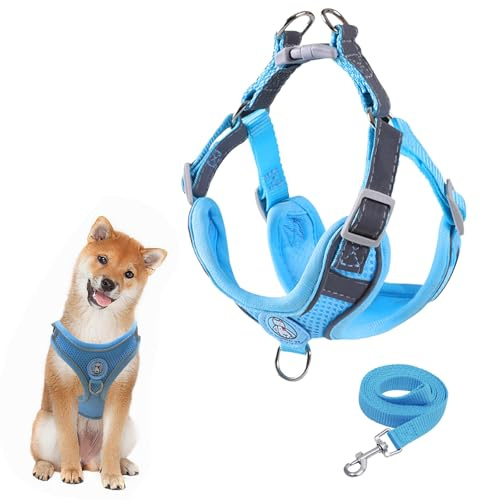 Harnais pour chien avec laisse - Harnais de poitrine respirant en maille respirante pour chiens de petite, moyenne taille et chiots - Rembourré et doux - Réglable - Harnais réfléchissant - Bleu