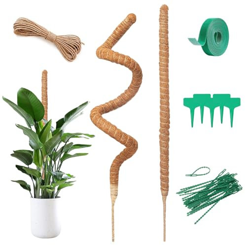 Spetsbst Monstera Lot de 2 tuteurs en coco Monstera - 160 cm - Bâton de mousse flexible avec accessoires - Pour plantes grimpantes en intérieur (160 cm)