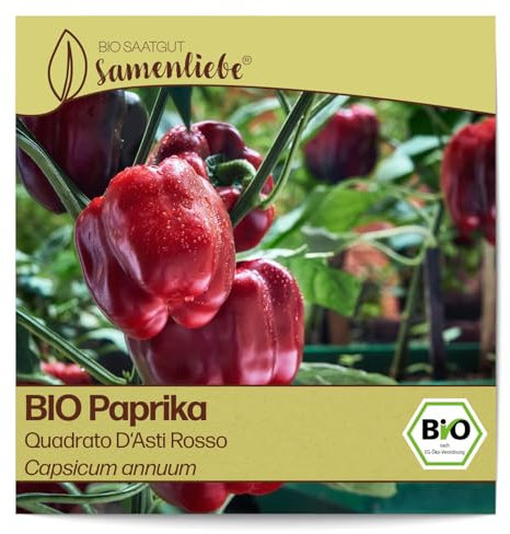 Samenliebe BIO Paprika Samen Quadrato D'Asti Rosso süße italienische Paprika Blockpaprika rot 10 Samen samenfestes Gemüse Saatgut für Gewächshaus Freiland und Balkon BIO Gemüsesamen