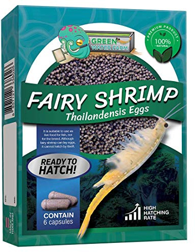 GREEN WATER FARM Fairy Shrimp Thailandensis Eggs Live Fish Food for Hatching and Culture Suitable for Feed Betta Fish