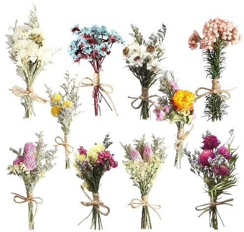 PORFOYO Bouquet de fleurs séchées pour le bricolage, 10 paquets de fleurs séchées naturelles mélangées, mini bouquet de fleurs séchées pour cadre photo, art, bricolage, résine, artisanat (B)