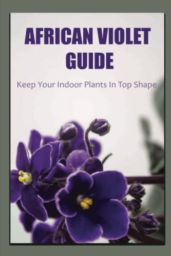 African Violet Guide: Keep Your Indoor Plants In Top Shape