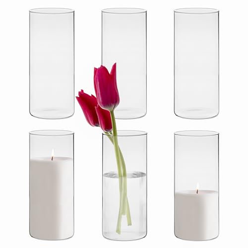 Winter Shore 20,5 cm Hohe Glasvasen für Tischdeko [6er-Pack] - Gläser für Kerzen, Blumen, Kieselsteine, Muscheln, Perlen & Windlicht Glas - Durchsichtige Glasvase Zylinder - Vasen Hochzeit Tischdeko