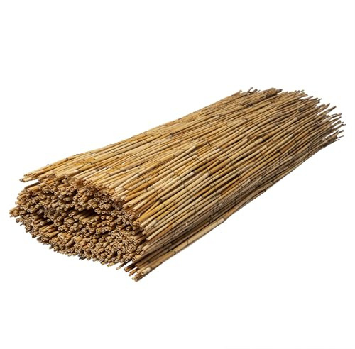 WERKA PRO Estera de Junco Natural 1,5 x 5 m