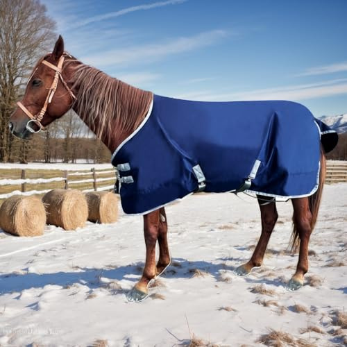 1200D Winter Horse Blanket for Real Horses | Medium Weight Turnout Blanket for All Seasons | 220g | Sizes 72 78 81 (Navy Blue, 72 in)
