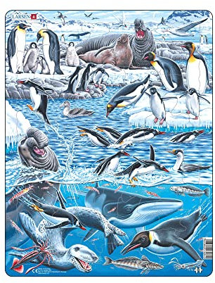 Larsen Puzzles FH48 Rahmenpuzzle Kinder Antarktis 66 Teile ab 6 Jahre Lernspielzeug Konzentration und Kreativität fördern