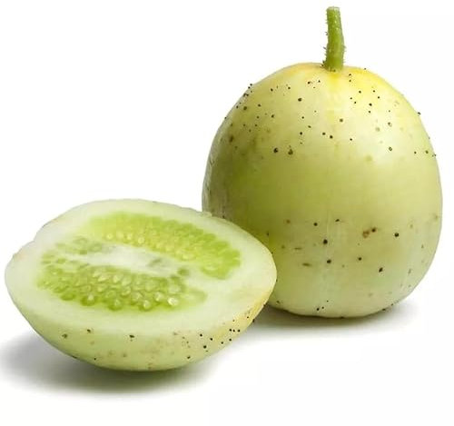 Cucumber 'Crystal Apple' - 20 Seeds +Freebie + Plant Tag - Cucumis sativus